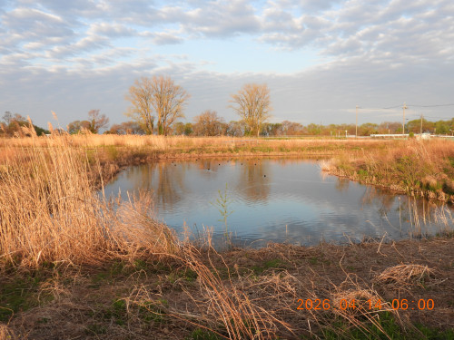 DSCN3413.JPG