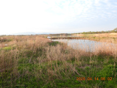 DSCN3415.JPG