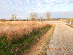DSCN3416.JPG
