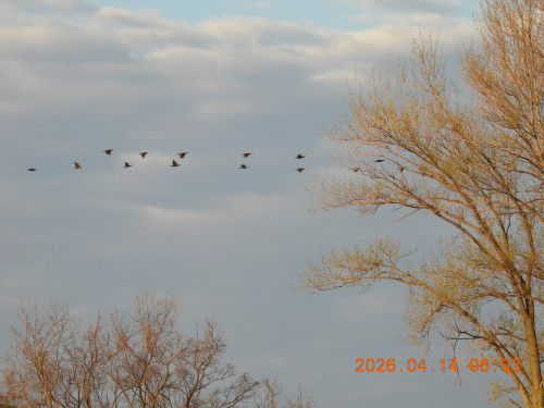 DSCN3418.JPG
