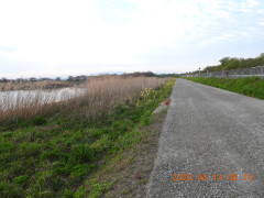 DSCN3423.JPG