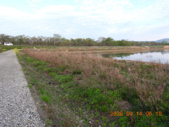 DSCN3425.JPG