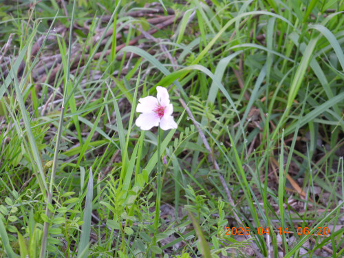 DSCN3428.JPG