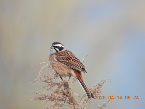 DSCN3431.JPG