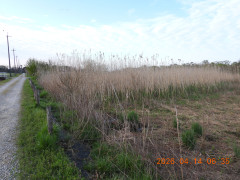 DSCN3437.JPG