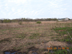 DSCN3438.JPG