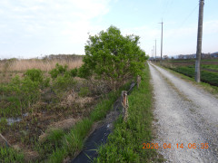 DSCN3439.JPG