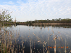 DSCN3441.JPG