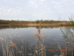 DSCN3442.JPG