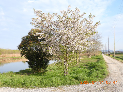 DSCN3445.JPG