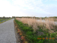 DSCN3463.JPG