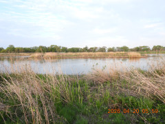 DSCN3464.JPG