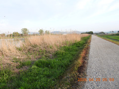 DSCN3465.JPG