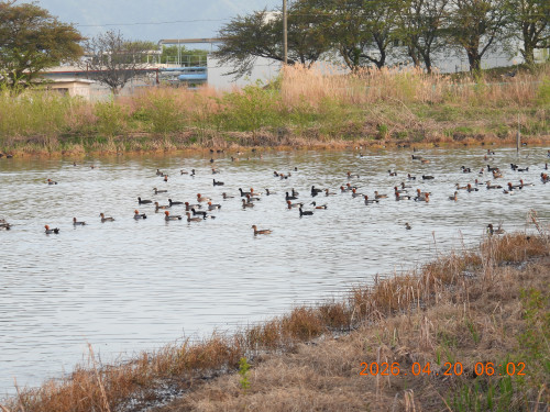 DSCN3466.JPG