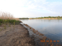 DSCN3468.JPG