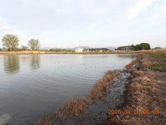 DSCN3470.JPG