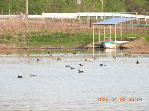 DSCN3471.JPG
