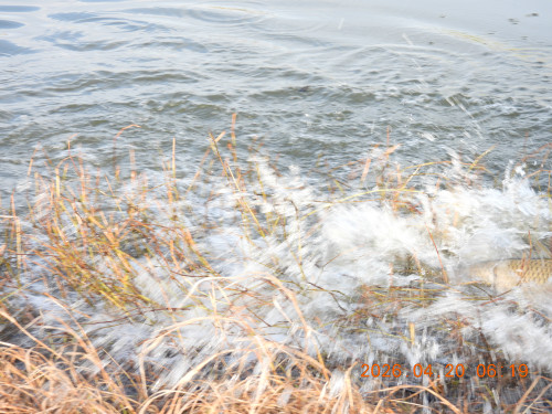 DSCN3474.JPG