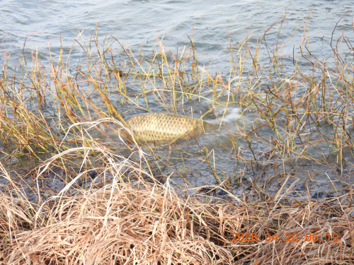 DSCN3475.JPG