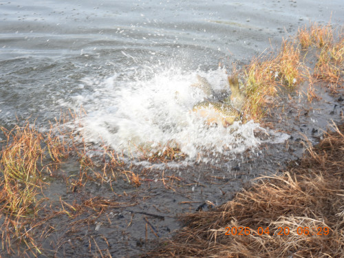 DSCN3477.JPG