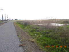 DSCN3482.JPG