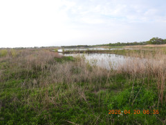 DSCN3483.JPG