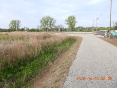 DSCN3484.JPG