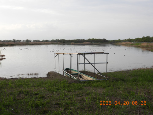 DSCN3486.JPG