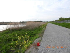 DSCN3492.JPG
