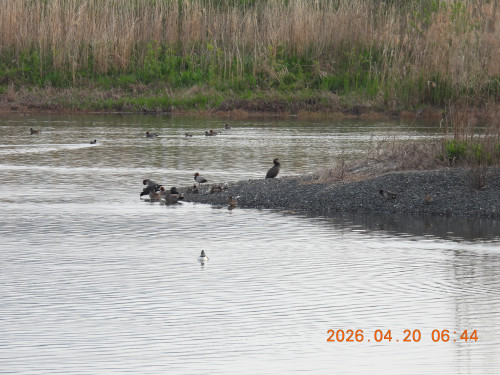DSCN3493.JPG