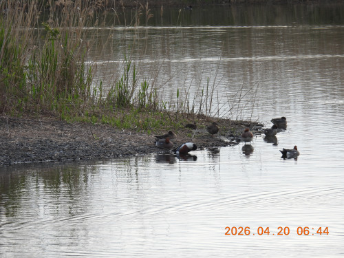 DSCN3494.JPG