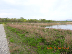 DSCN3495.JPG