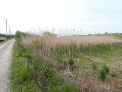 DSCN3499.JPG