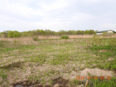 DSCN3500.JPG