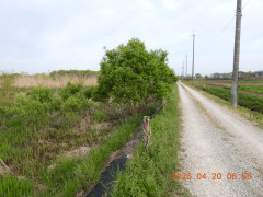 DSCN3501.JPG