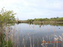 DSCN3502.JPG