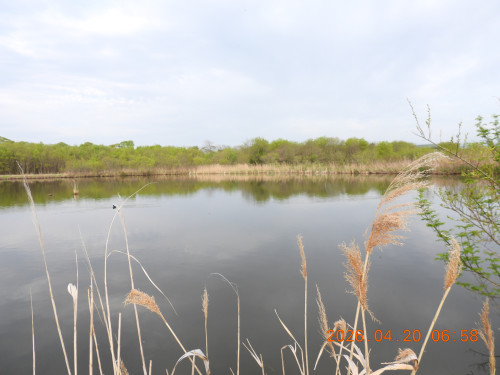 DSCN3503.JPG