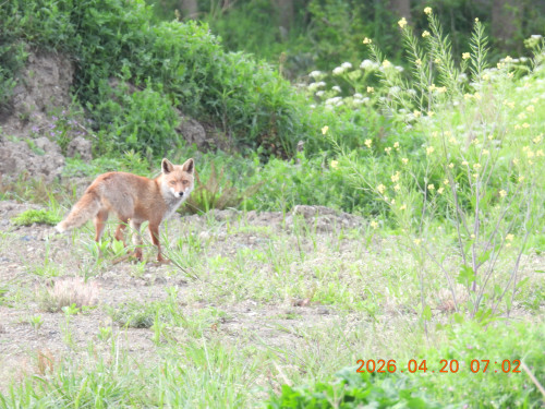 DSCN3504.JPG