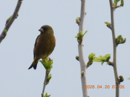 DSCN3508.JPG