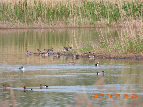 DSCN3520.JPG