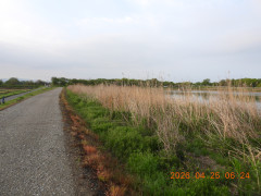 DSCN3521.JPG