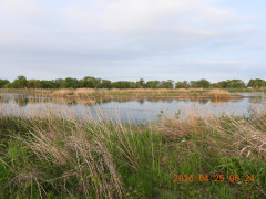DSCN3522.JPG