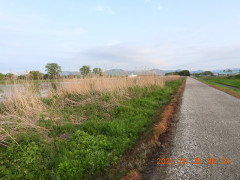 DSCN3523.JPG