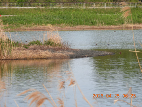 DSCN3527.JPG