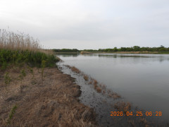 DSCN3528.JPG