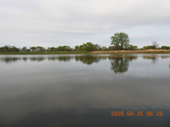 DSCN3529.JPG