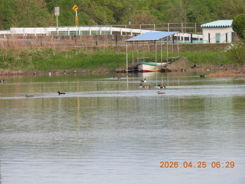 DSCN3531.JPG