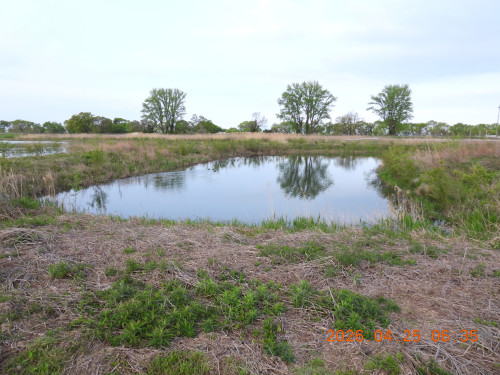 DSCN3541.JPG
