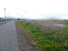 DSCN3542.JPG