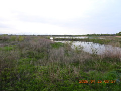 DSCN3543.JPG